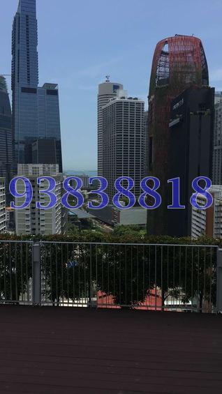 Blk 1D The Pinnacle@Duxton (Bukit Merah), HDB 4 Rooms #168467762